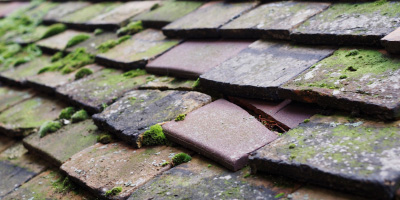 Hollington roof repair costs